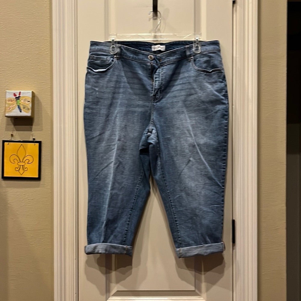 Lane Bryant 18W